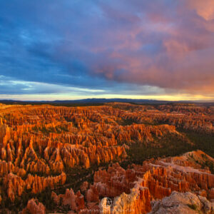 Bryce National Park Sunrise